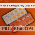 What Is Kamagra Jelly Used For 43